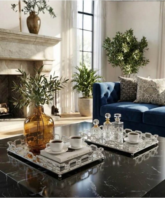 ZEYVE SILVER NEW MODEL 2-PIECE RECTANGULAR TRAY 20*30-26*36